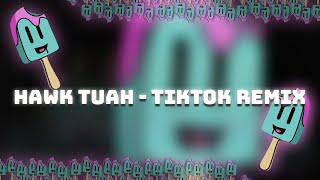 Hawk Tuah  TikTok REMIX [upl. by Aiahc624]