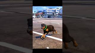 GTA 5 DOG TEACH US LOVEAmazing Games [upl. by Gayla]