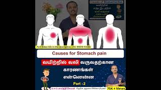 Vid 2  Stomach Pain Stomach Pain Explained in Tamil  வயிற்று வலிக்கான காரணங்கள் என்ன [upl. by Boser410]