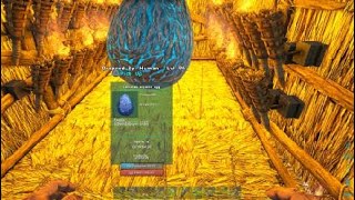 How to hatch wyvern egg without AC in Ark [upl. by Aikemat976]