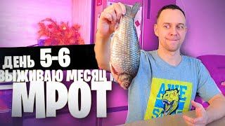 5  6 день 😱 ВЫЖИВАЮ МЕСЯЦ на МРОТ ГЕДЗА [upl. by Kyd677]