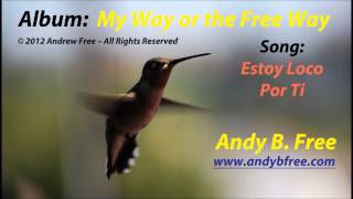 Andy B Free  Estoy Loco Por Ti  Soft Rock Love Song in English and Spanish [upl. by Hanad]