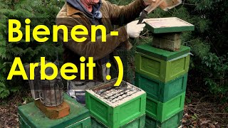 Arbeit an den Bienen Mini Plus  Warum Leerzarge entfernen [upl. by Esenahs]