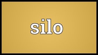 Silo Meaning [upl. by Charleen]