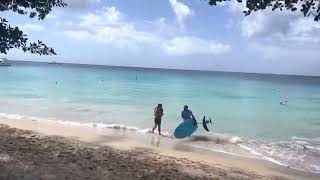 Beach Walk Barbados 🏖 Gibbes Beach ✨🇧🇧 [upl. by Hussey]