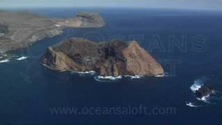 Guadalupe Island Aerial Video [upl. by Grunenwald]