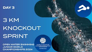 Men amp Women 3km Knockout Sprint  World Aquatics Open Water Swimming Junior World Championships 2024 [upl. by Anigar]