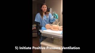 Neonatal Resuscitation Skill Demo Higher Quality [upl. by Anai262]