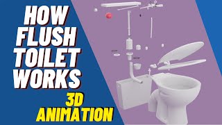 How Flush Toilet Works  3D Animation  Siphon [upl. by Eiroj221]