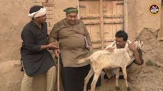 Tasleem Abbas New Comedy Show  Village  Falak Sher ranaijazofficial55 [upl. by Meer]