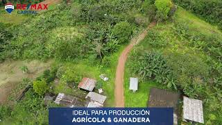 Finca en VENTA  Puerto Quito [upl. by Ahsitam629]