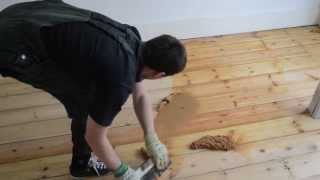 Gap filling wooden pine floor with filler and sawdust mix [upl. by Enirak]