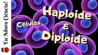 Células Haploide n e Diploide 2n [upl. by Stoll]