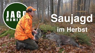 JagdMomente  Folge 5  Drückjagd amp Ansitz auf Sau amp Reh im Herbst [upl. by Slinkman]