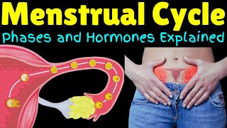 The Menstrual Cycle – Phases and Hormones Explained  Menstruation Explained [upl. by Armbrecht]