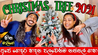 අපේ පුංචි ගෙදර හදපු පලවෙනි නත්තල් ගහ  🎄Christmas Tree 2021  BINARIO12 [upl. by Sel268]