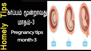 கர்ப்பம் மூன்றாவது மாதம்3pregnancy tips 3rd monthகர்ப்பம் மூன்றாவது மாதம் உண்ண வேண்டிய உணவுகள் [upl. by Dinsdale]