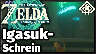 The Legend of Zelda Tears of the Kingdom  IgasukSchrein Irrland [upl. by Trev805]