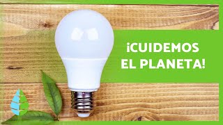 10 ACCIONES para CUIDAR el MEDIO AMBIENTE 🌏✅ [upl. by Hayashi]