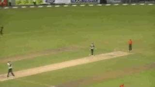 sialkoti in Dubai Sports City Cricket stadium Pakistan VS newzeland T20 [upl. by Grethel999]