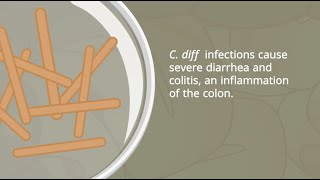 C Diff Infections  Pathophysiology and Nursing Interventions [upl. by Hafeenah587]