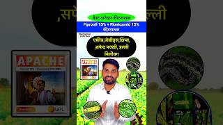 सभी चूसक किट की बेस्ट दवा 👌 Upl Apache  Fipronil  Flonicamid bhartiyakisanभारतीयकिसान shorts [upl. by Ydnyc73]