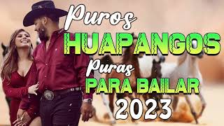 Huapangos Pa Bailar 2023  Puros Huapangos Mix Puras Norteñas Para Bailar  Sus Mejores canciones [upl. by Mariya]