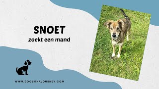 Snoet zoekt een mand [upl. by Ettelracs]