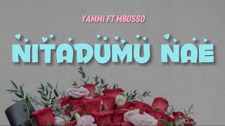 Yammi Ft Mbosso  Nitadumu nae Lyrics Video [upl. by Mclaurin874]