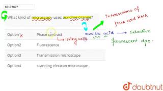 What kind of microscopy uses acridine orange [upl. by Ninerb]