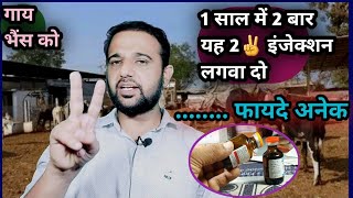 1 साल में 2 बार ये ✌️2 इंजेक्शन लगवा दो गाय भैंस कोफायदे अनेक ye 2 injection [upl. by Adnaluoy]