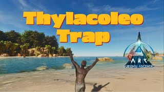 How to build a Thylacoleo Trap  Ark Survival Ascended [upl. by Lahcsap]