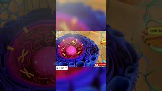 Cell organelles  BiologyWithAvneeshSir  neet biology like subscribe shorts [upl. by Notyard]