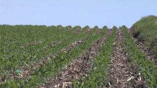 Soybean Planting 734 Air Date 42912 [upl. by Ardnaxela]