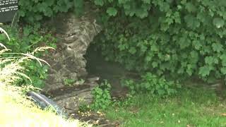 St Myllins Chapel and Holy Well Llanfyllin Powys [upl. by Hilliary]