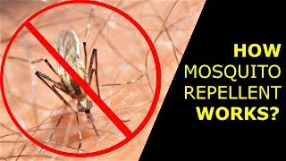 What is DEET How Mosquito Repellent Works [upl. by Adnamal406]