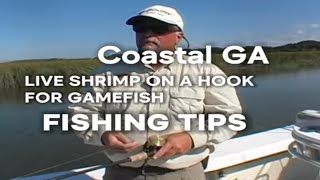 How to Hook Live Shrimp for Gamefish Expert Charter Captain Tutorial [upl. by Aitsirk]