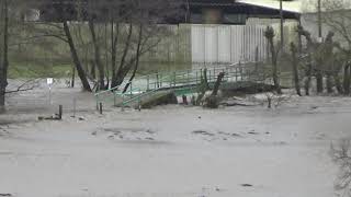 Nister bei der Nistermühle unterhalb Hachenburg im Westerwald  Hochwasser 29012021 [upl. by Pascia]