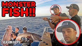 You WON’T BELIEVE what bait we used to catch these BASS GROUPER  S8 EP3 Whangaroa [upl. by Ekud]