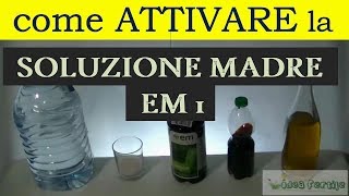 Microrganismi effettivi Attivazione Soluzione madre [upl. by Ithnan]