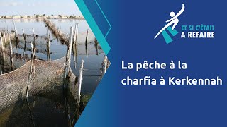 La pêche à la charfia à Kerkennah [upl. by Dix]