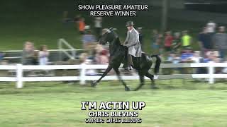 IM ACTIN UP 2024 WARTRACE HORSE SHOW [upl. by Harv651]