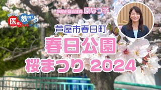 春日公園桜まつり2024 [upl. by Eads513]