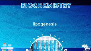 L 17 18 Lipid metabolism 12 Fatty acids synthesis and lipogenesis  Biochemistry [upl. by Naman]