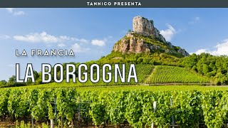 I vini della Borgogna Domaine Vigneron e Grand Cru  Tannico Flying School [upl. by Aynwat]