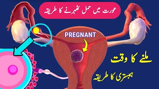 Sperm Egg Fertilization Process Pregnancy kaise Hoti Hai Pregnancy Ovulation Implantation [upl. by Celisse]