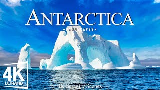 Antartica 4K  Journey Through Majestic Icebergs and Pristine Wilderness  Calming Music [upl. by Enidlarej302]