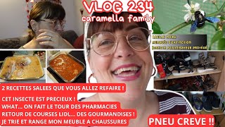 VLOG 2342 RECETTES SALEES QUE VOUS ALLEZ ADORERCOURSES LIDLWHAT PNEU CREVETRI CHAUSSURES [upl. by Naoma]