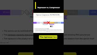 Gene Expression in operons Repressor vs Corepressor [upl. by Yhtur]