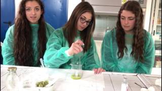 Estrazione DNA dal kiwi  IIIA 16\17 Liceo Scientifico quotIS Caravaggioquot [upl. by Adnoral]